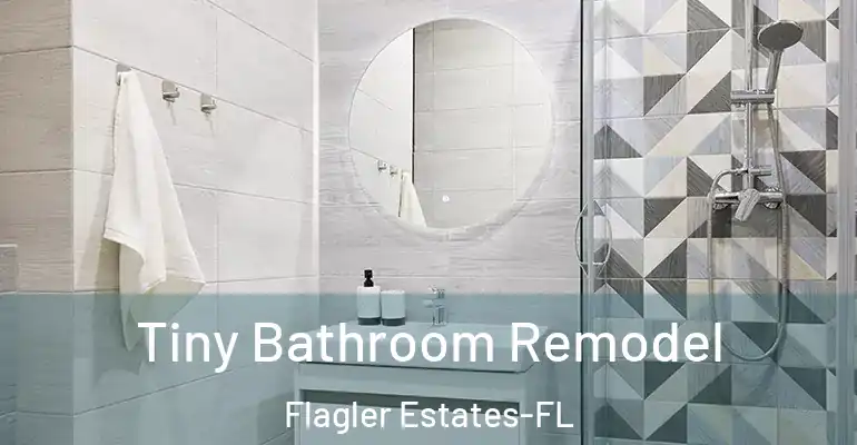 inner Bathroom imggen Tiny Bathroom Remodel Flagler Estates-FL