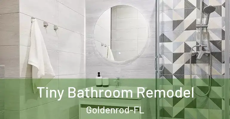 inner Bathroom imggen Tiny Bathroom Remodel Goldenrod-FL
