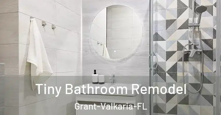 inner Bathroom imggen Tiny Bathroom Remodel Grant-Valkaria-FL