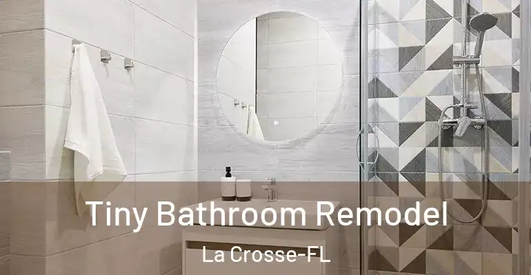 inner Bathroom imggen Tiny Bathroom Remodel La Crosse-FL