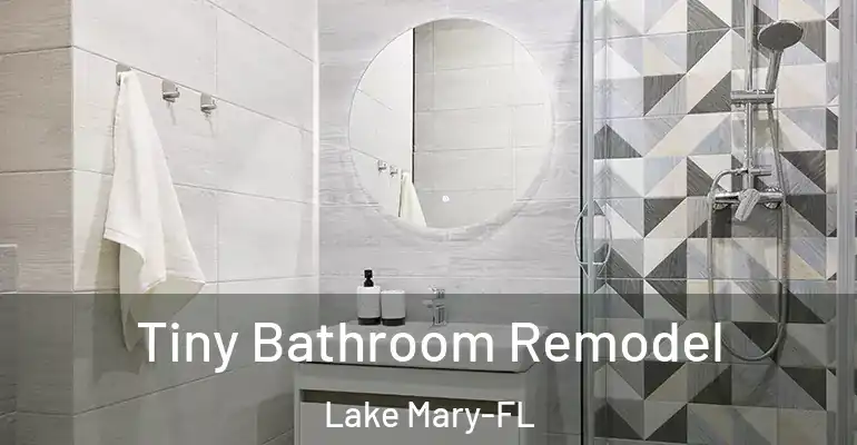 inner Bathroom imggen Tiny Bathroom Remodel Lake Mary-FL