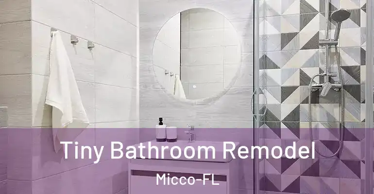 inner Bathroom imggen Tiny Bathroom Remodel Micco-FL
