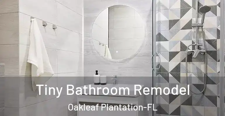 inner Bathroom imggen Tiny Bathroom Remodel Oakleaf Plantation-FL