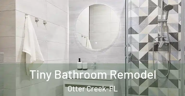 inner Bathroom imggen Tiny Bathroom Remodel Otter Creek-FL