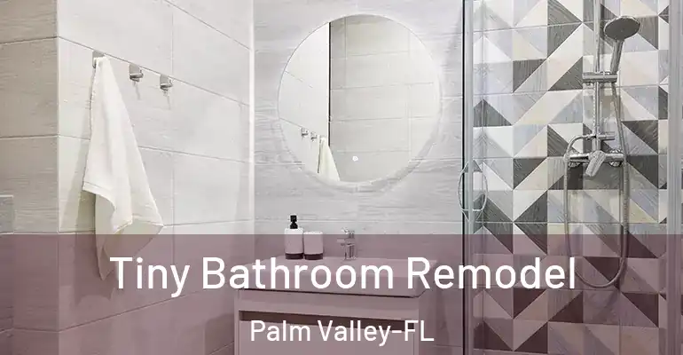 inner Bathroom imggen Tiny Bathroom Remodel Palm Valley-FL