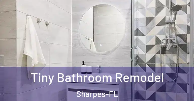 inner Bathroom imggen Tiny Bathroom Remodel Sharpes-FL