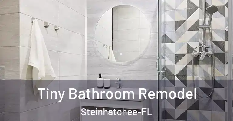 inner Bathroom imggen Tiny Bathroom Remodel Steinhatchee-FL
