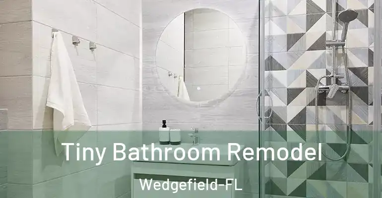 inner Bathroom imggen Tiny Bathroom Remodel Wedgefield-FL