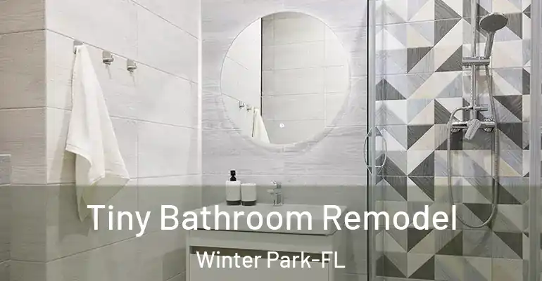 inner Bathroom imggen Tiny Bathroom Remodel Winter Park-FL