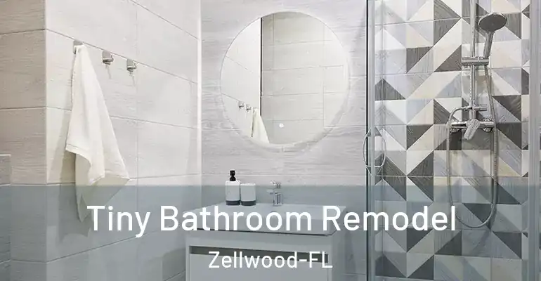 inner Bathroom imggen Tiny Bathroom Remodel Zellwood-FL