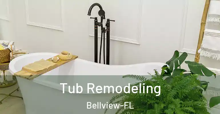 inner Bathroom imggen Tub Remodeling Bellview-FL