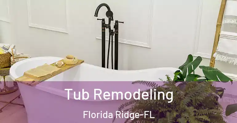 inner Bathroom imggen Tub Remodeling Florida Ridge-FL