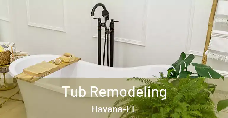 inner Bathroom imggen Tub Remodeling Havana-FL