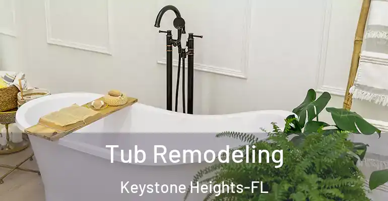 inner Bathroom imggen Tub Remodeling Keystone Heights-FL