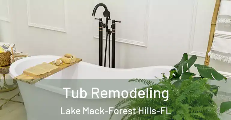 inner Bathroom imggen Tub Remodeling Lake Mack-Forest Hills-FL