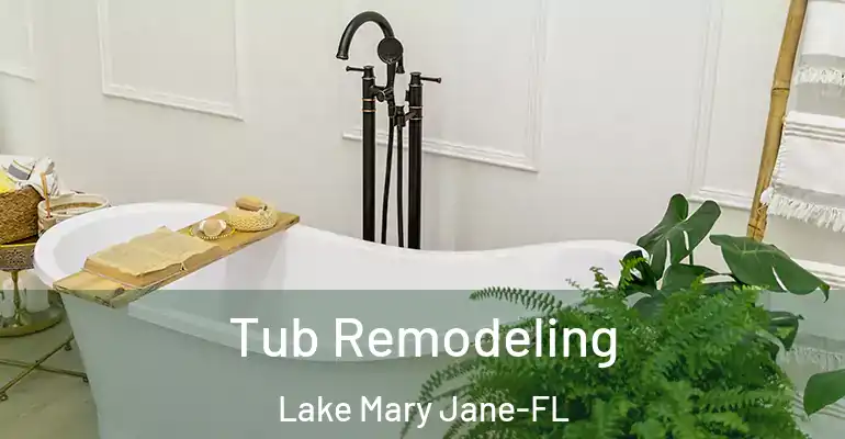 inner Bathroom imggen Tub Remodeling Lake Mary Jane-FL