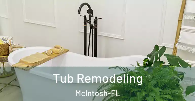 inner Bathroom imggen Tub Remodeling McIntosh-FL