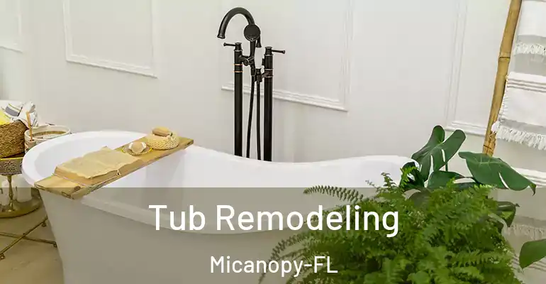 inner Bathroom imggen Tub Remodeling Micanopy-FL
