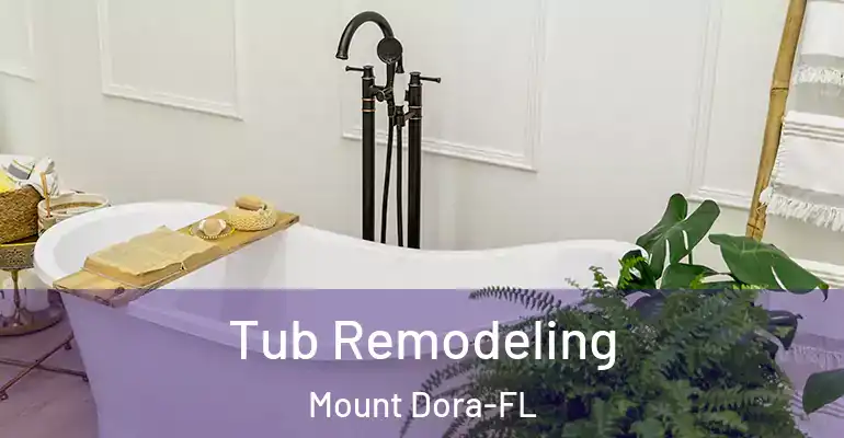inner Bathroom imggen Tub Remodeling Mount Dora-FL