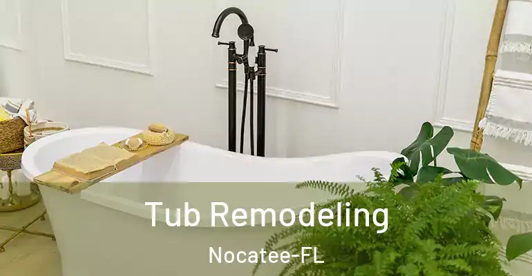 inner Bathroom imggen Tub Remodeling Nocatee-FL