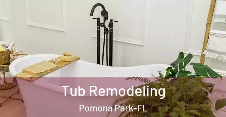 inner Bathroom imggen Tub Remodeling Pomona Park-FL