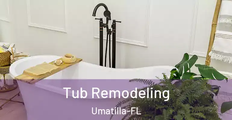 inner Bathroom imggen Tub Remodeling Umatilla-FL
