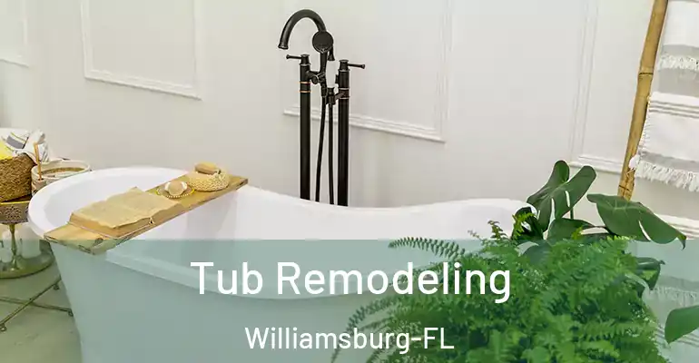 inner Bathroom imggen Tub Remodeling Williamsburg-FL