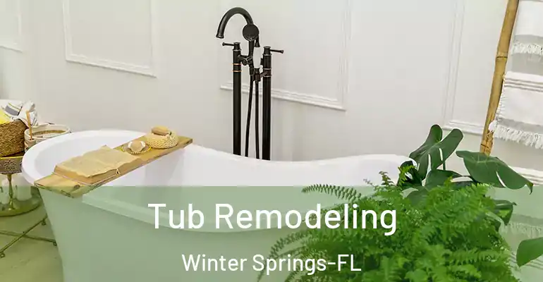 inner Bathroom imggen Tub Remodeling Winter Springs-FL