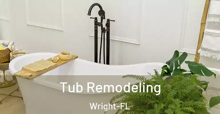 inner Bathroom imggen Tub Remodeling Wright-FL