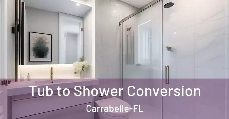 inner Bathroom imggen Tub to Shower Conversion Carrabelle-FL