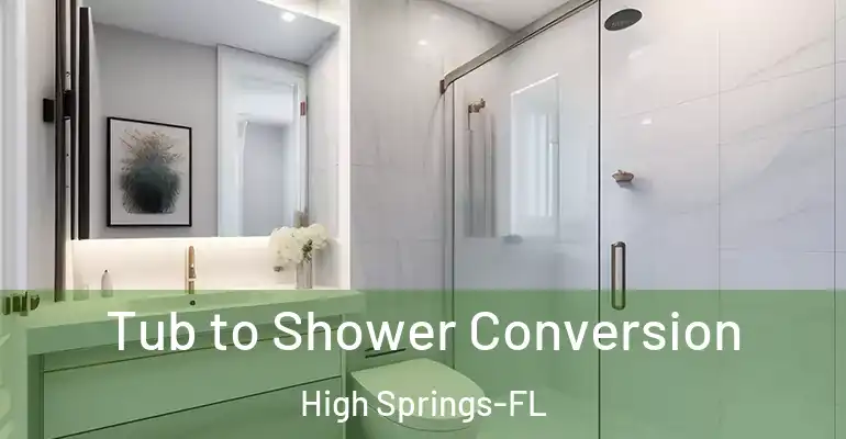 inner Bathroom imggen Tub to Shower Conversion High Springs-FL