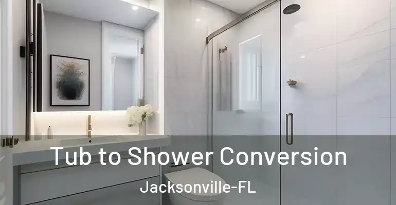 inner Bathroom imggen Tub to Shower Conversion Jacksonville-FL