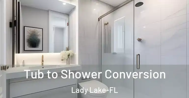 inner Bathroom imggen Tub to Shower Conversion Lady Lake-FL