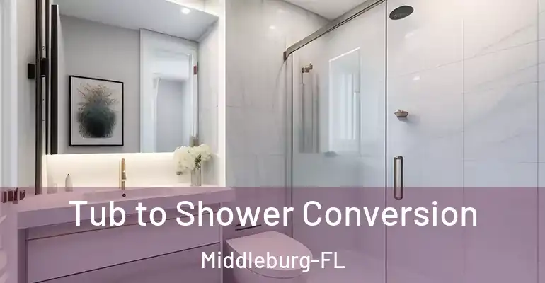 inner Bathroom imggen Tub to Shower Conversion Middleburg-FL