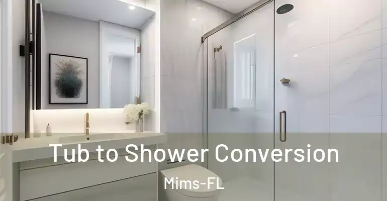 inner Bathroom imggen Tub to Shower Conversion Mims-FL