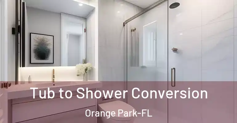 inner Bathroom imggen Tub to Shower Conversion Orange Park-FL
