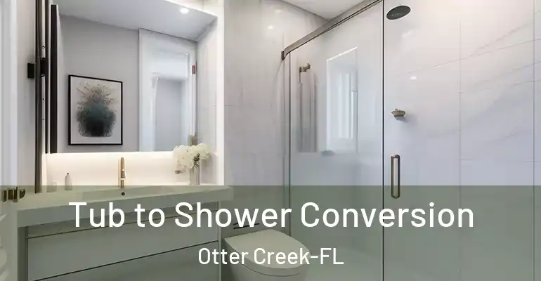 inner Bathroom imggen Tub to Shower Conversion Otter Creek-FL