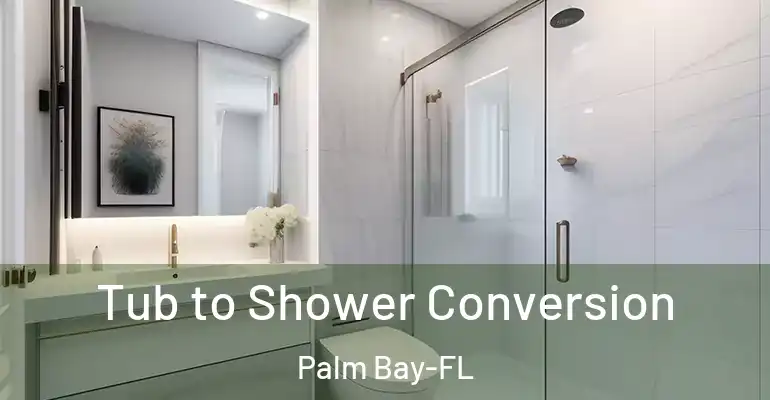 inner Bathroom imggen Tub to Shower Conversion Palm Bay-FL