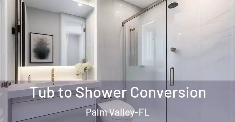 inner Bathroom imggen Tub to Shower Conversion Palm Valley-FL