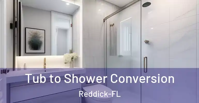 inner Bathroom imggen Tub to Shower Conversion Reddick-FL