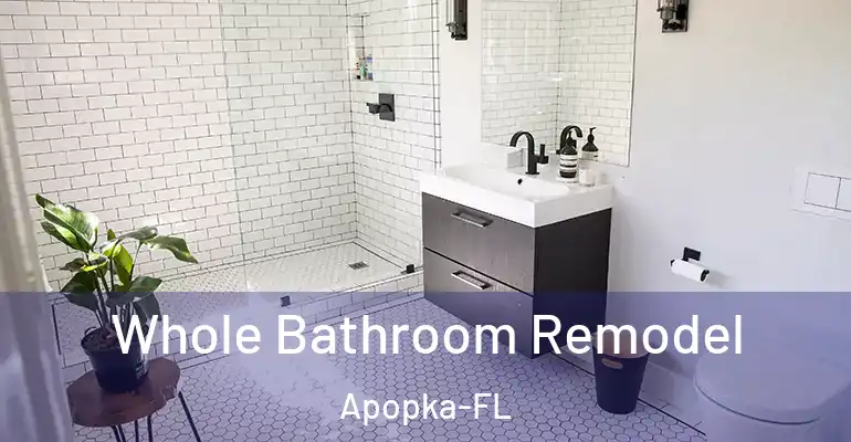 inner Bathroom imggen Whole Bathroom Remodel Apopka-FL