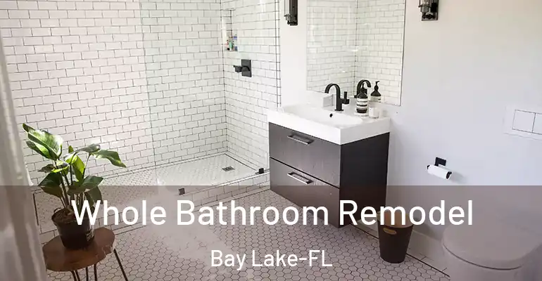 inner Bathroom imggen Whole Bathroom Remodel Bay Lake-FL