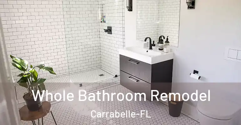 inner Bathroom imggen Whole Bathroom Remodel Carrabelle-FL