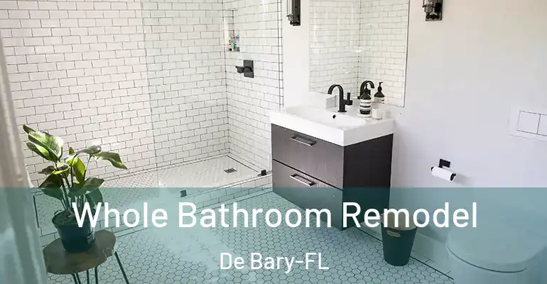 inner Bathroom imggen Whole Bathroom Remodel De Bary-FL