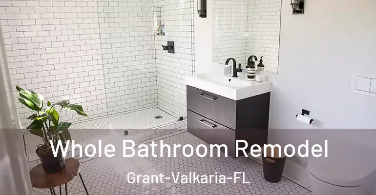 inner Bathroom imggen Whole Bathroom Remodel Grant-Valkaria-FL