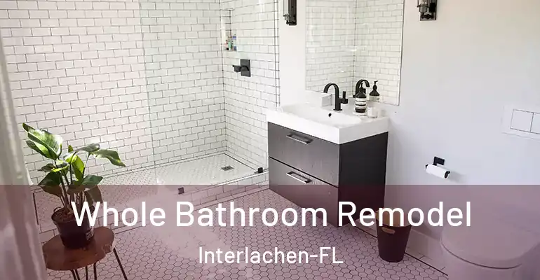 inner Bathroom imggen Whole Bathroom Remodel Interlachen-FL