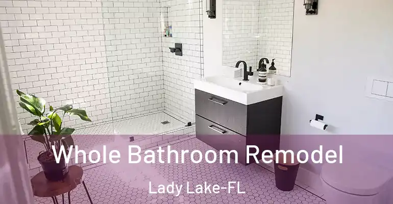 inner Bathroom imggen Whole Bathroom Remodel Lady Lake-FL