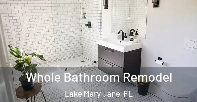 inner Bathroom imggen Whole Bathroom Remodel Lake Mary Jane-FL