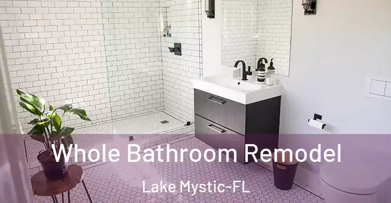 inner Bathroom imggen Whole Bathroom Remodel Lake Mystic-FL