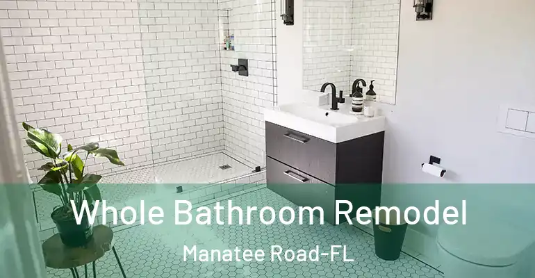 inner Bathroom imggen Whole Bathroom Remodel Manatee Road-FL